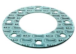 Flange Gasket